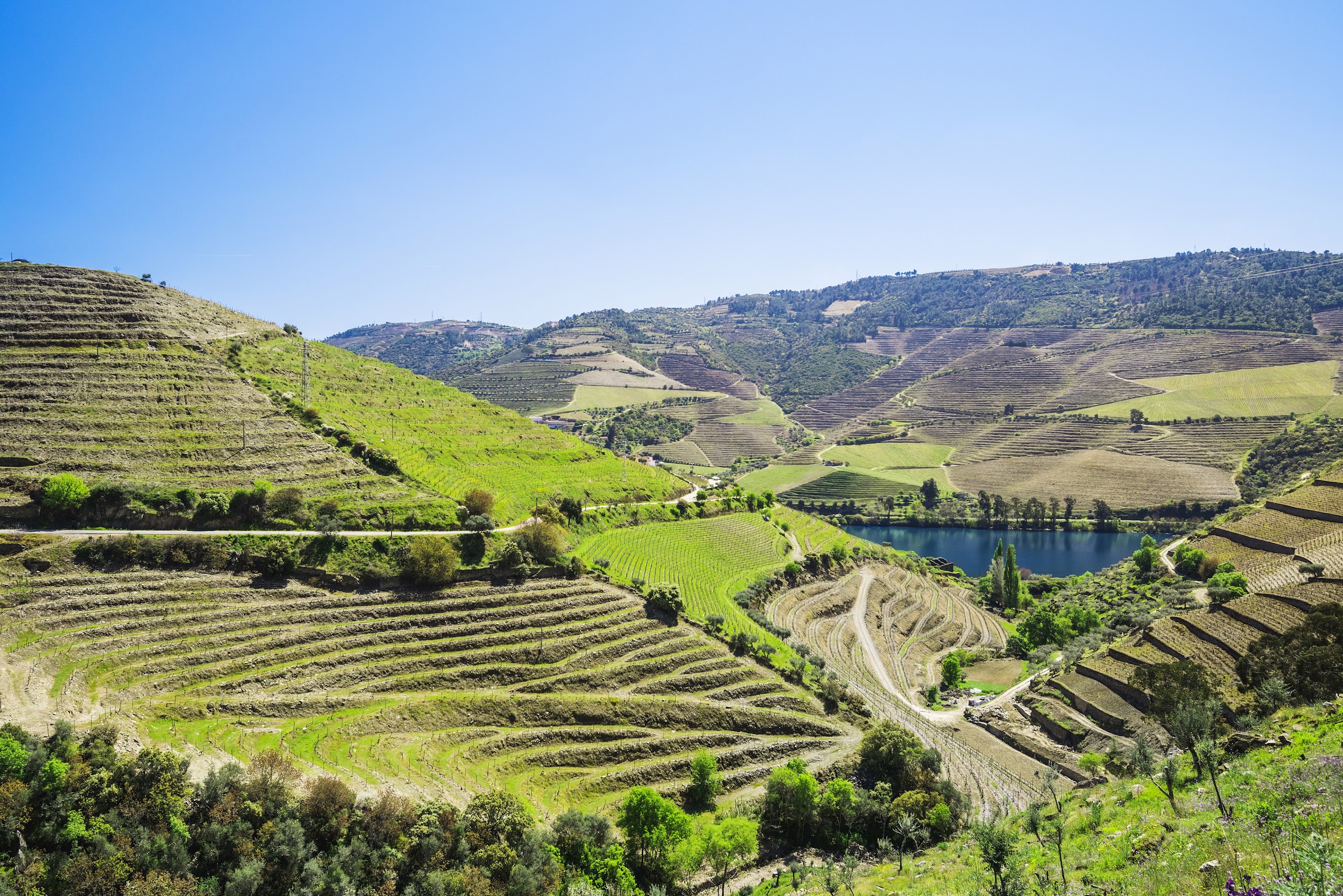 Douro Valley near Six Senses