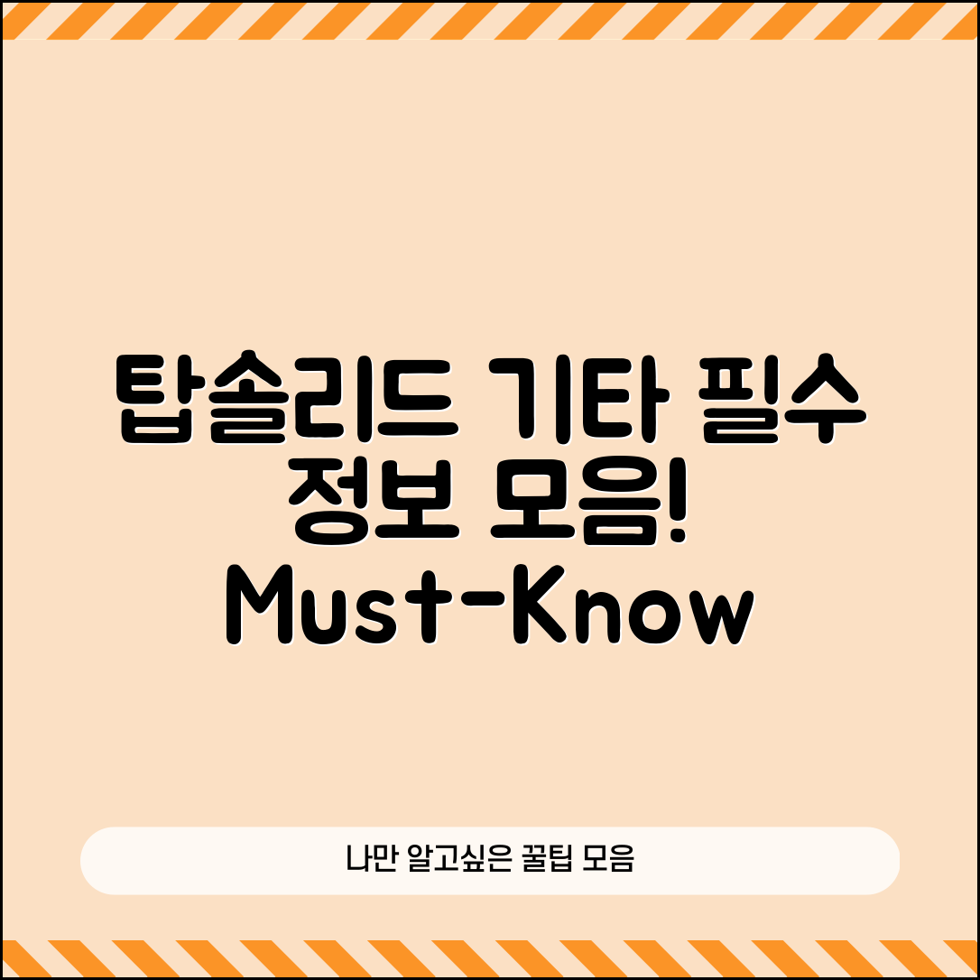 탑솔리드기타 정보, 꼭 알아야 할 사실은?