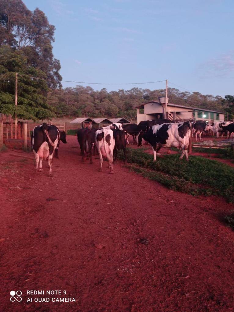 Sítio em São Miguel do Passa Quatro - GO 5