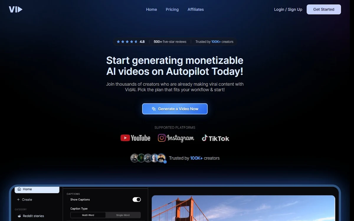 Captura de Vid.AI