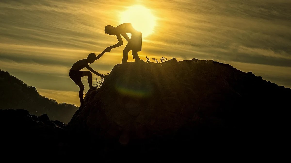 온라인 판매 수수료 구조 분석과 브랜드 마케팅 시너지
