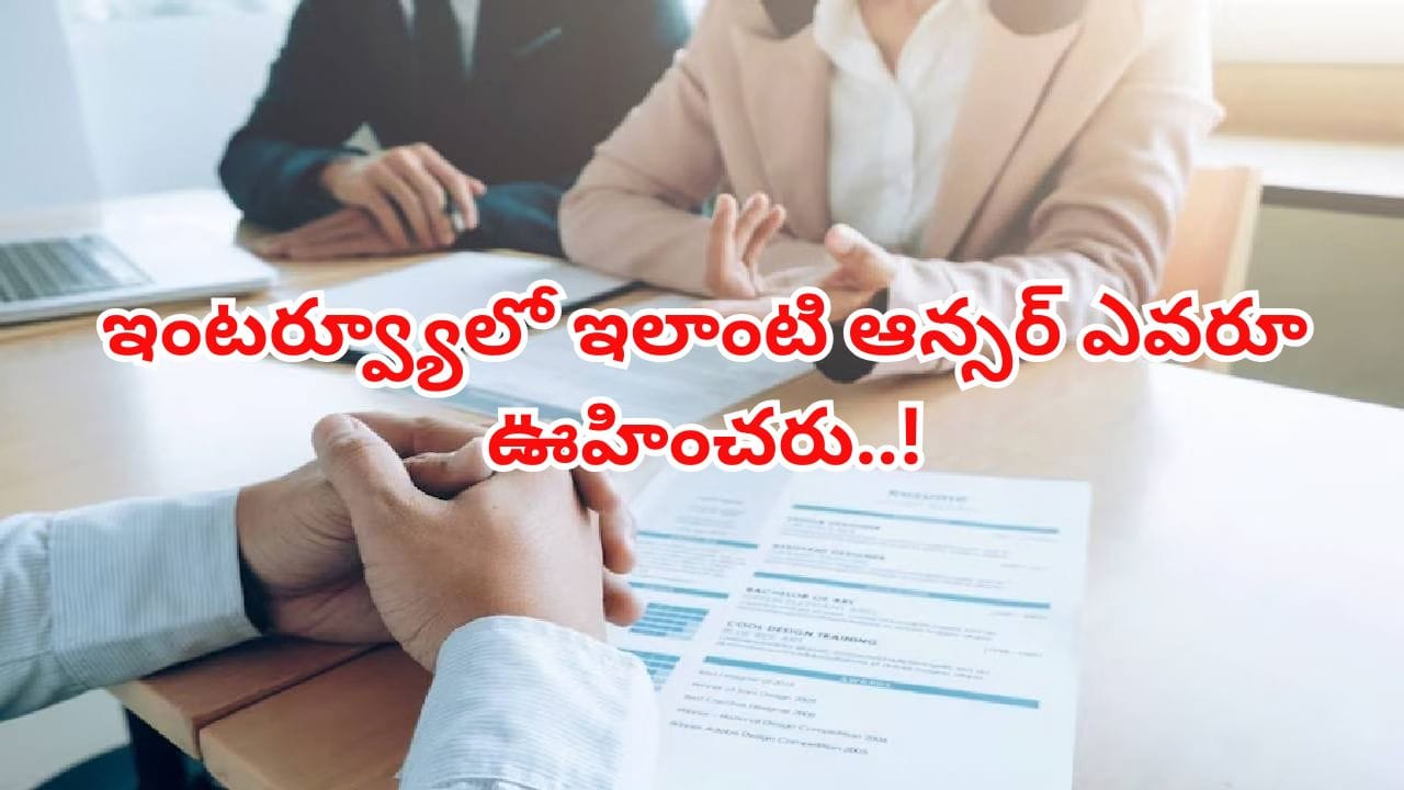 Job Interview Viral: Candidate Says He Needs the Money