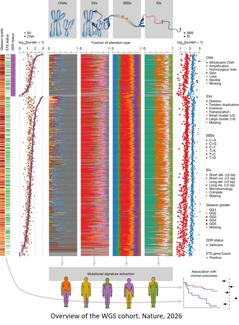 Integrated signatures define mutational processes in prostate cancer