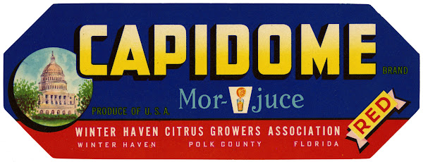 Capidome Brand Citrus Label 1930 1950