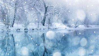 Winter Nature Wallpaper