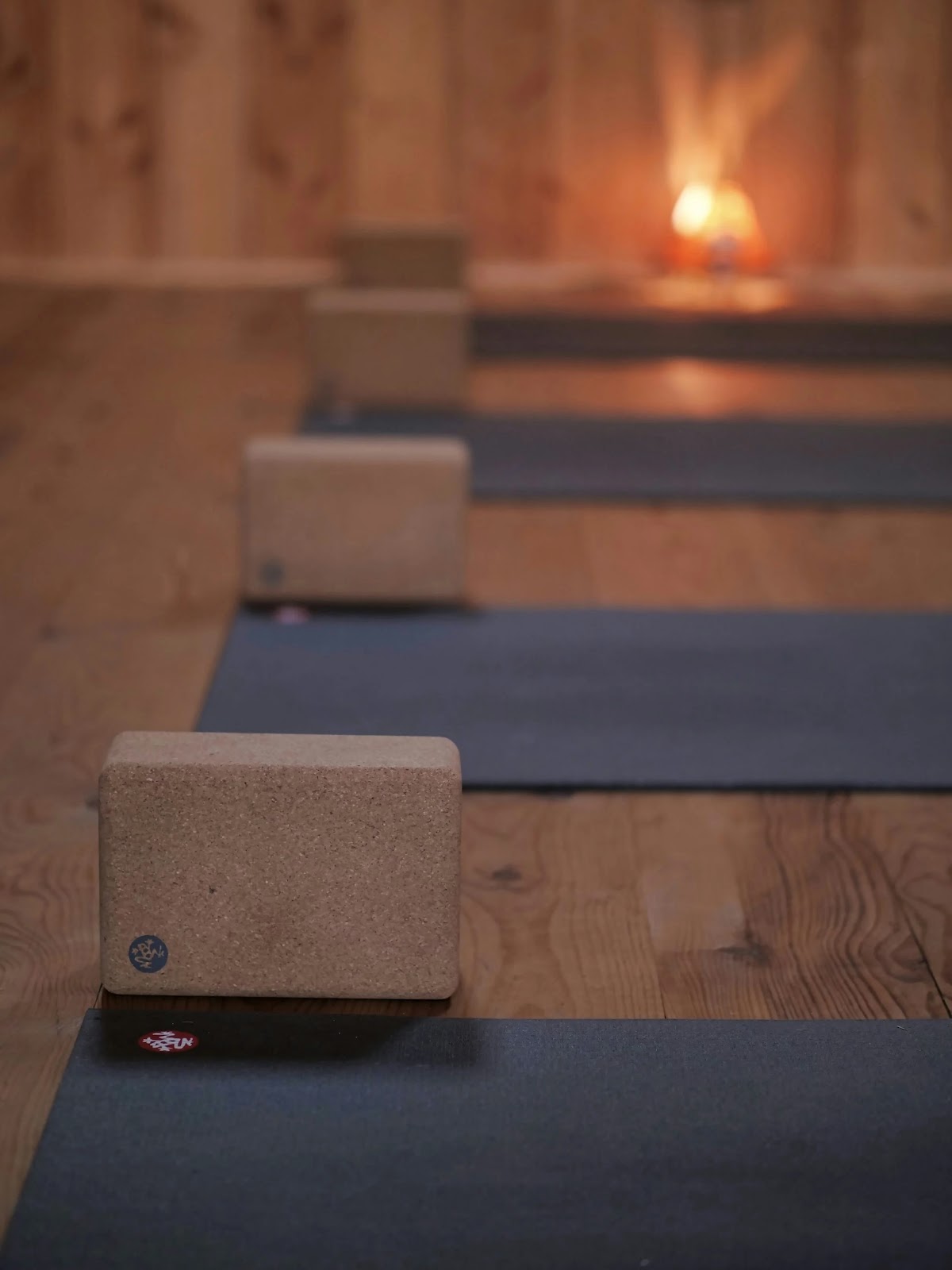 200-Hour Yoga Teacher Training — Circle Yoga Shala