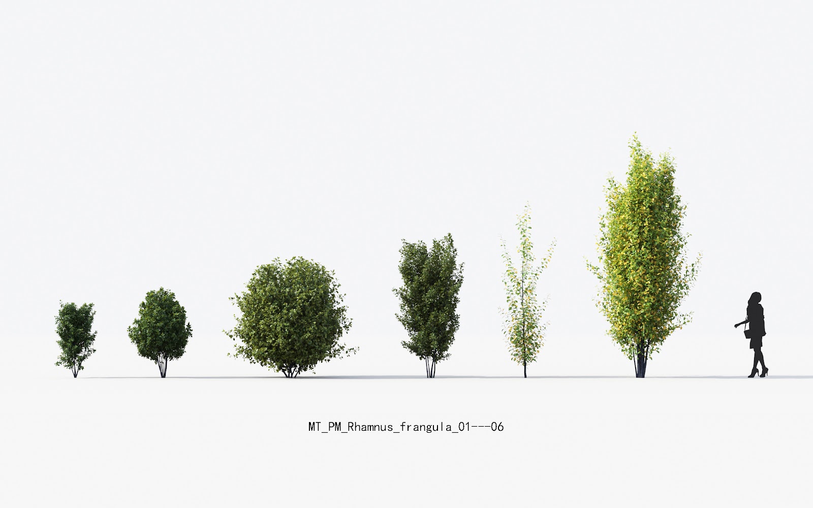 Maxtree - Plant Models Vol.13