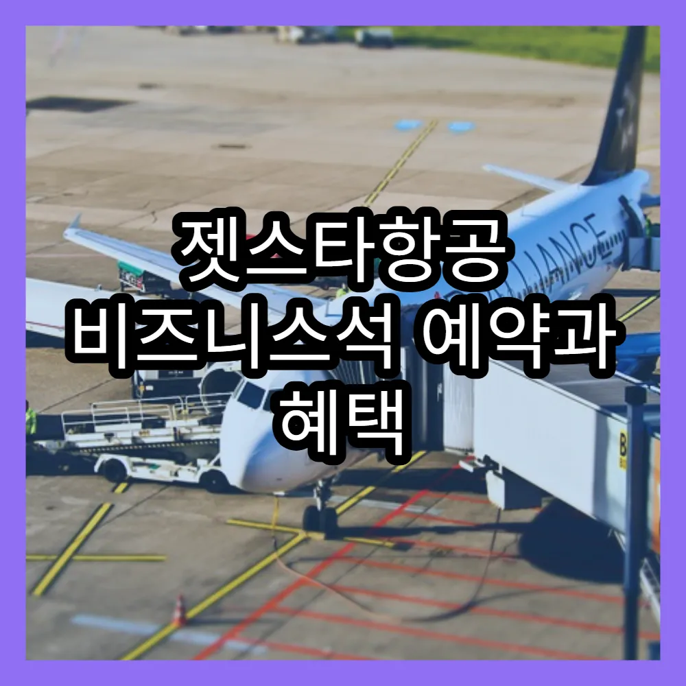 젯스타항공 비즈니스석 예약과 혜택 상세 설명