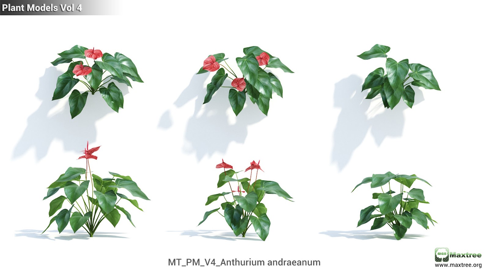 Maxtree - Plant Models Vol.4