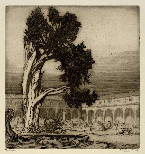 The Cypress of Michelangelo Rome 1913
