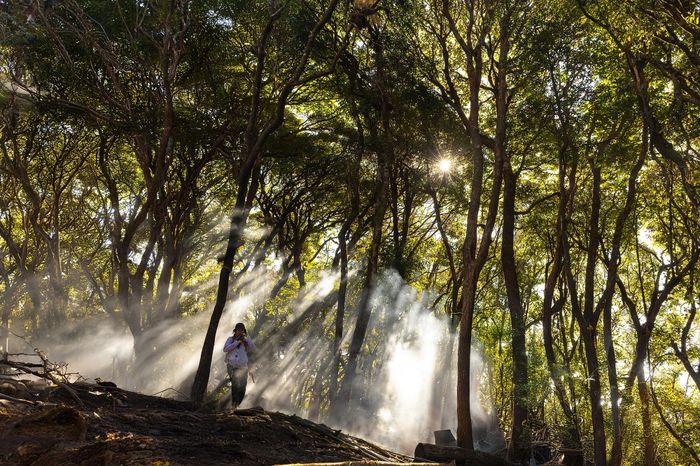 Cấm trekking tự phát một số đỉnh núi cao nhất Việt Nam - Tạp chí Tri thức