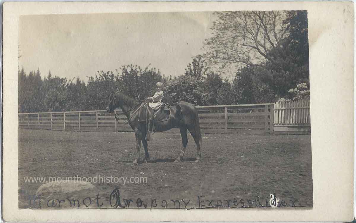 Aschoff's Mountain Home 