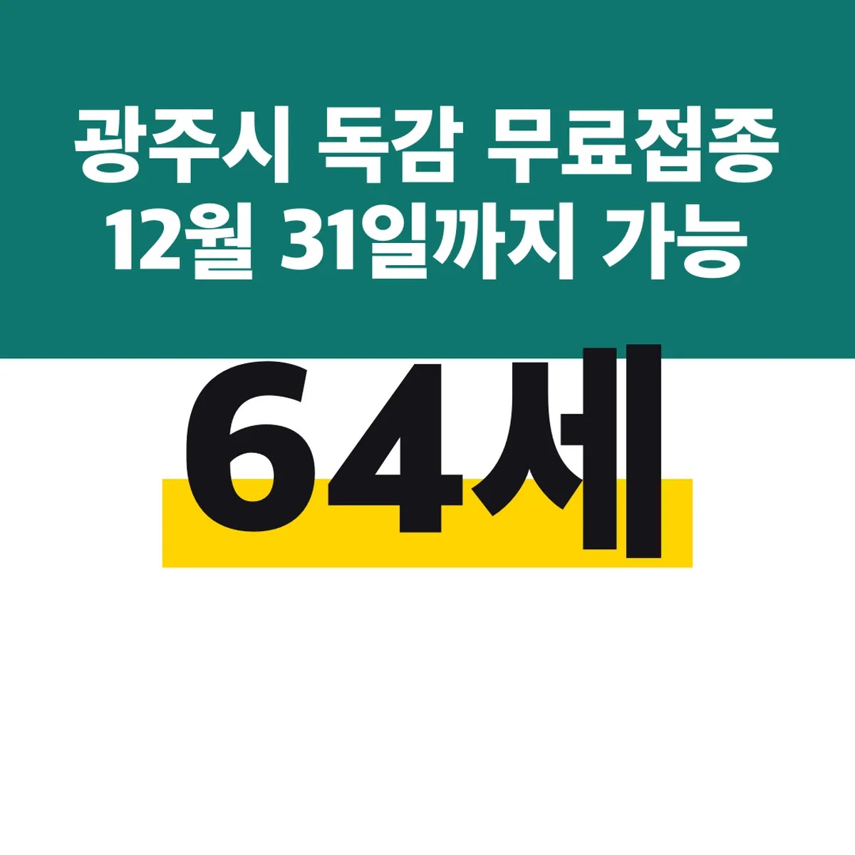 광주시 독감 무료접종 64세 12월 31일까지 가능