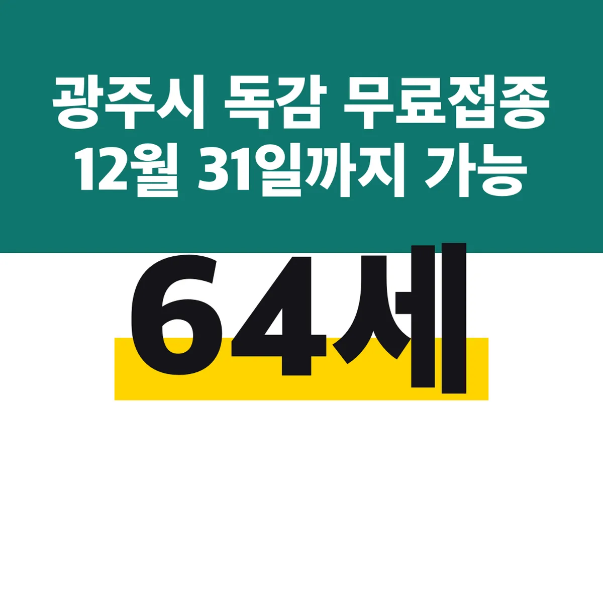 광주시 독감 무료접종 64세 12월 31일까지 가능
