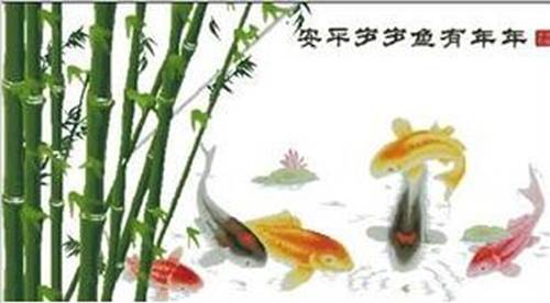 CMP Koi 1