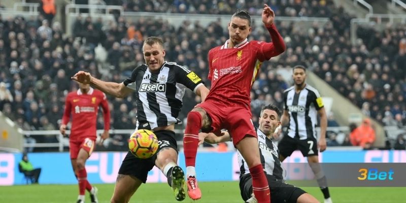 Soi kèo Liverpool vs Newcastle 03h00 ngày 01/02/2026
