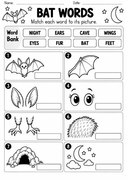 Bat Vocabulary Match Worksheet
