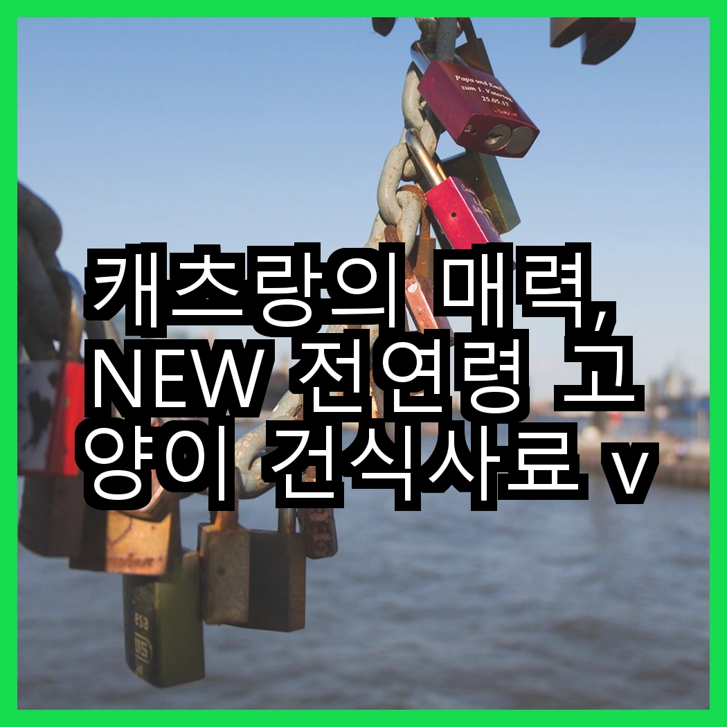 캐츠랑의 매력, NEW 전연령 고양이 건식사료 vs 리브레 5kg 2개, 어떤 선택이 더 좋을까? 썸네일