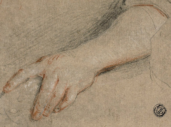 Hand Pointing and Forearm