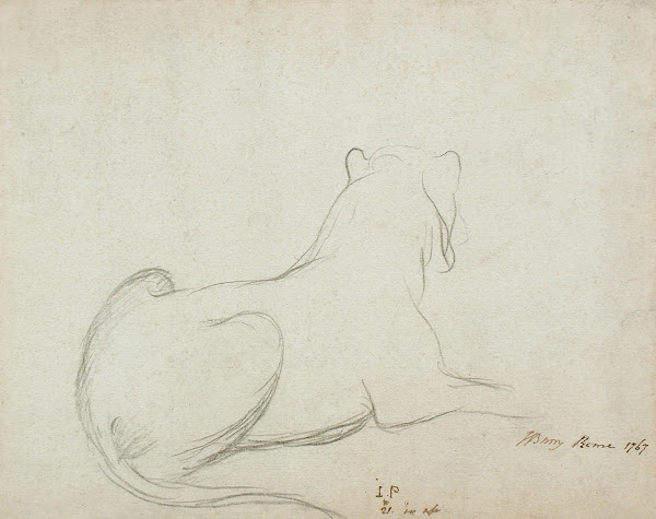 Lioness 1767