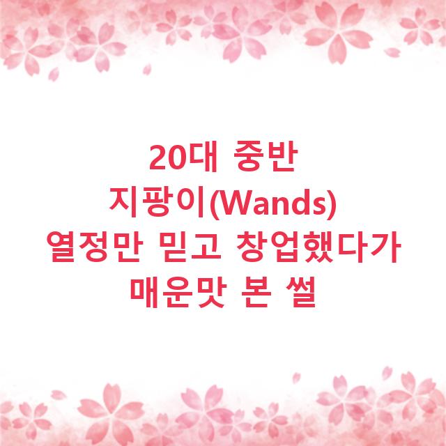 20대 중반 지팡이(Wands) 열정만 믿고 창업했다가 매운맛 본 썰