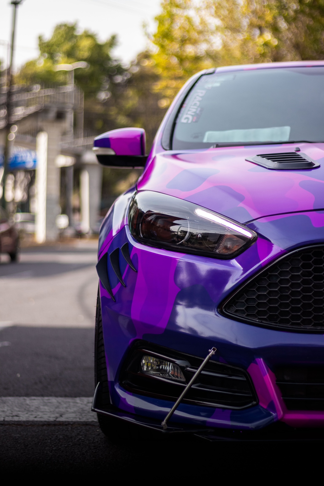 Focus ST · RipNDip 3