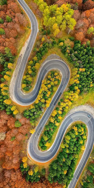 Asus, Asus Zenfone, Autumn, Forest, Road Full HD iPhone Wallpaper Background