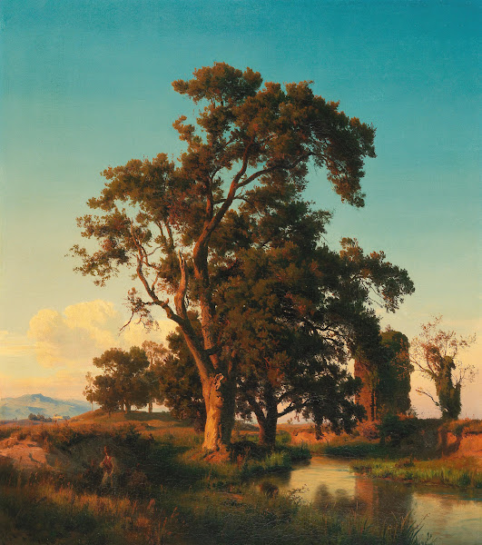 A majestic tree in the evening light
