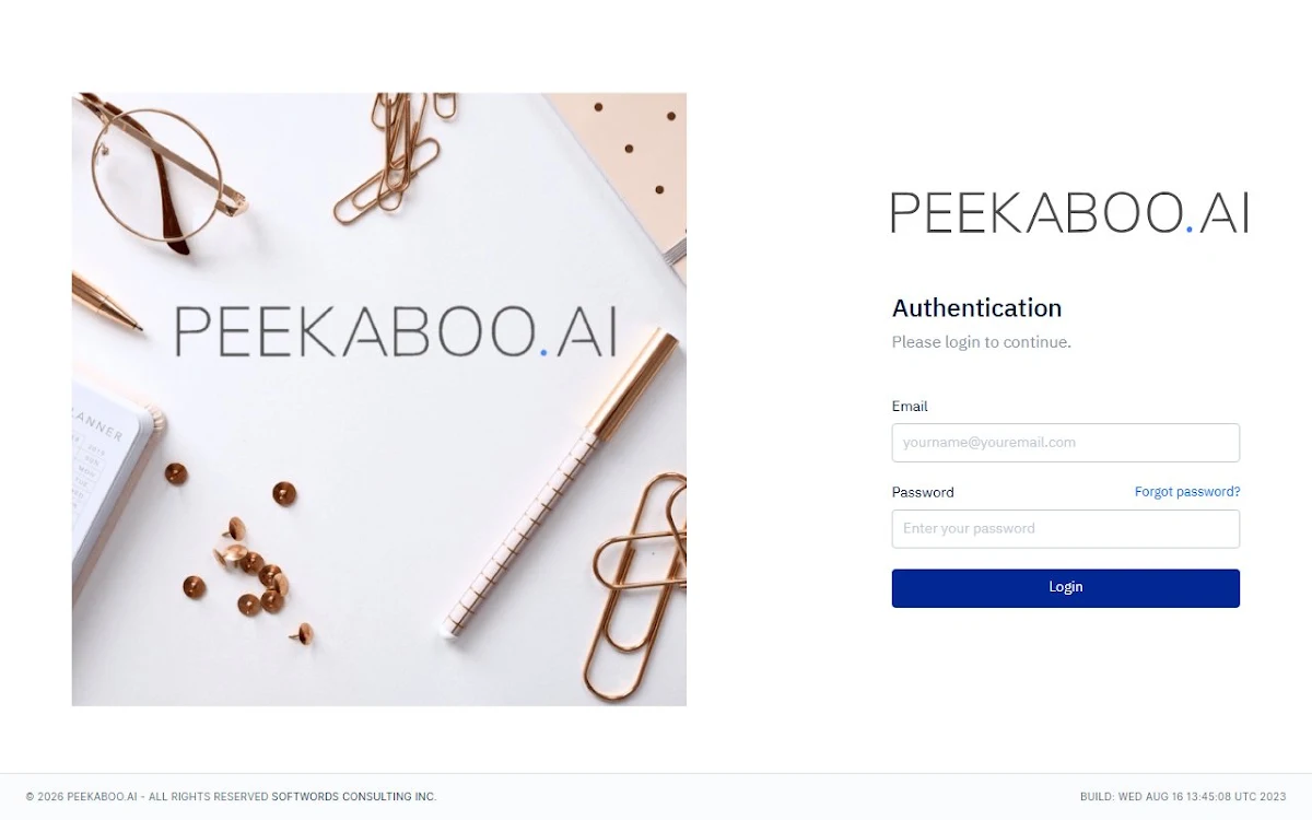 Captura de Peekaboo AI