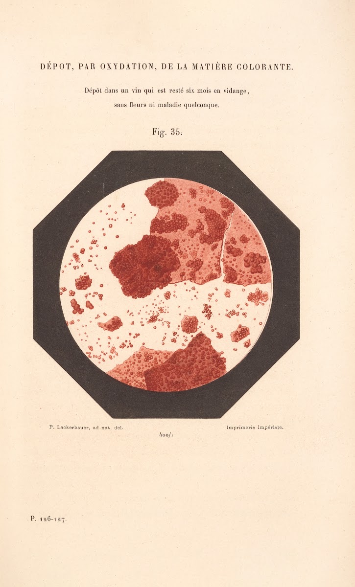 Études Sur Le Vin Pl23 1866