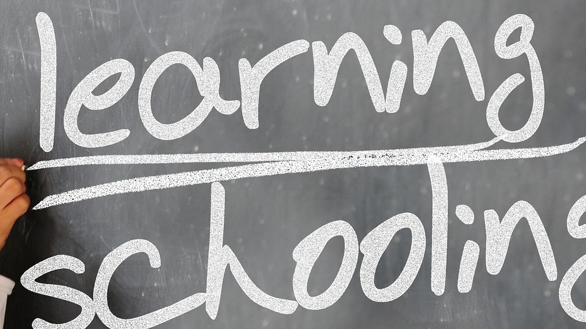 대학 전공별 진로 탐색 시 우선 순위와 선택 기준 정리