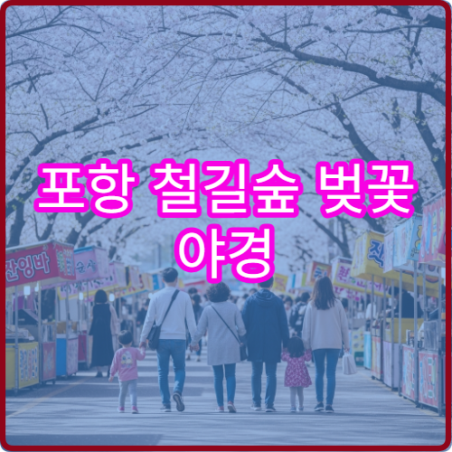 포항 철길숲 벚꽃 야경 드론 촬영 해안 절벽 구역과 주의사항