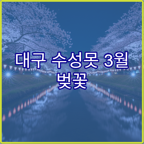 대구 수성못 3월 벚꽃 셔틀버스 정확한 시간표와 하차 지점 안내