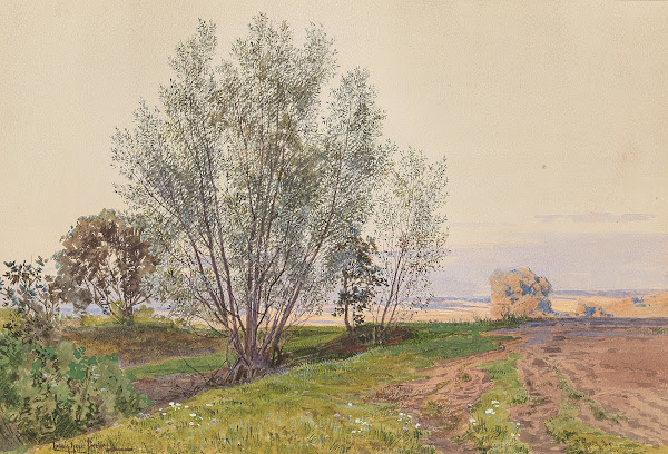 Feld und Bachrand