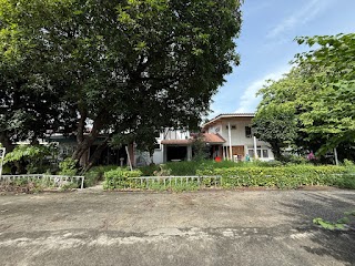 ที่ดินวิภาวดี ซอย 4 ขนาด 100 ตรว ห้อง NUB019 ภาพที่ 5
