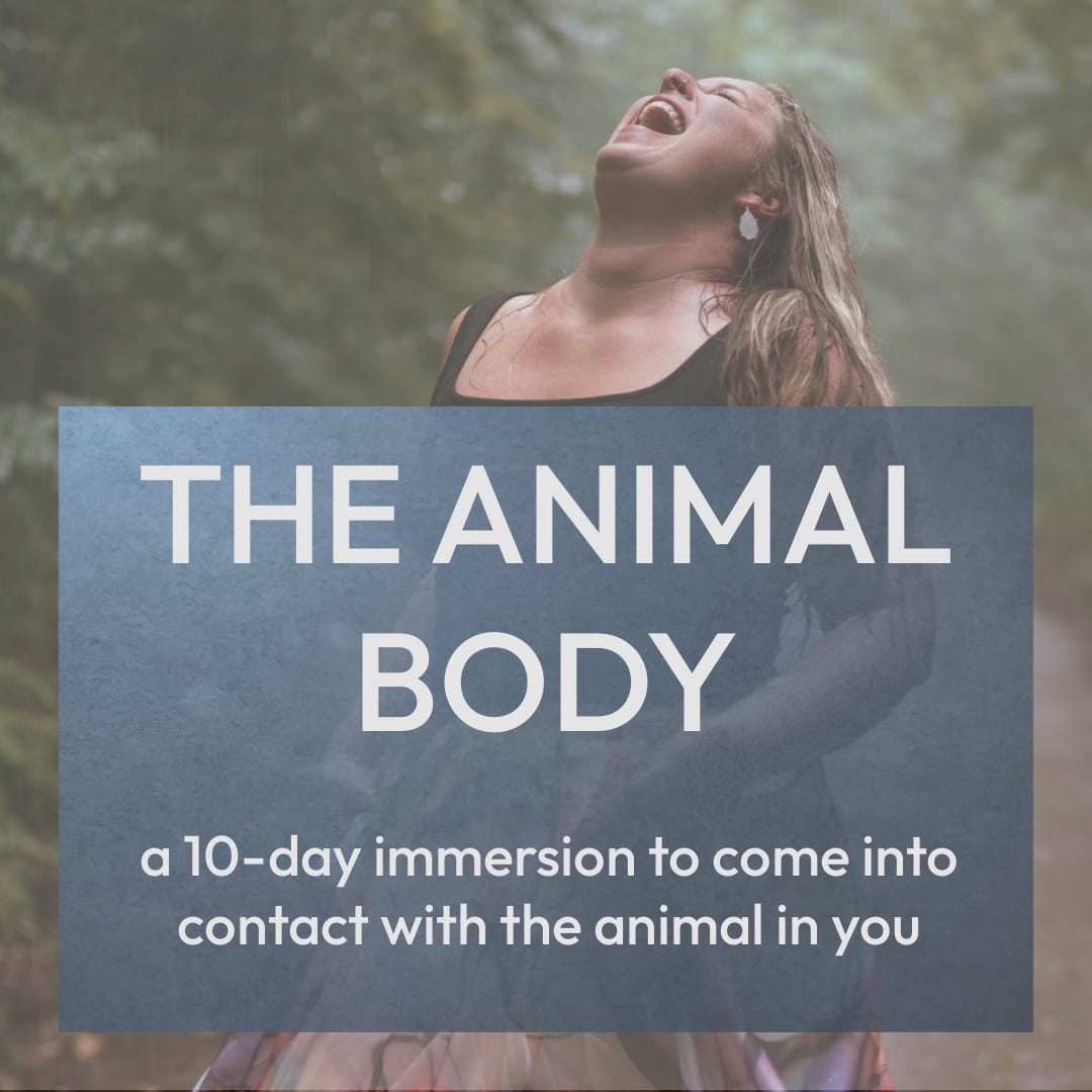 The Animal Body: a 10-day immersion to come into contact with the animal in you