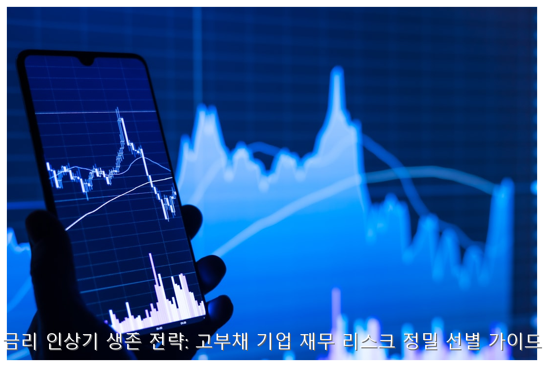 금리 인상기 생존 전략: 고부채 기업 재무 리스크 정밀 선별 가이드 핵심 안내 및 분석 인포그래픽 (3)
