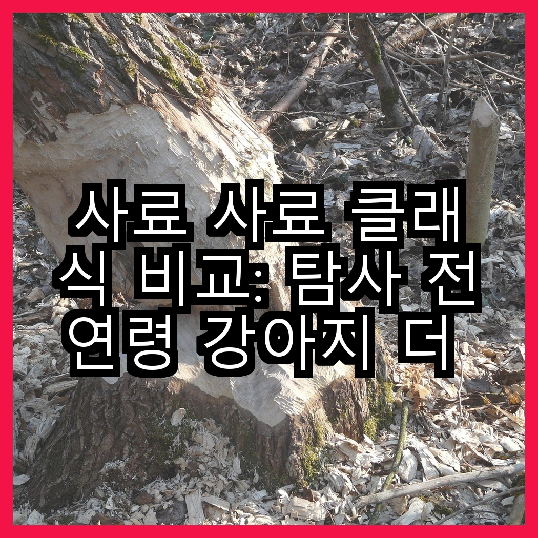 사료 사료 클래식 비교: 탐사 전연령 강아지 더 클래식 사료와 탐사 클래식 진도 사료, 어떤 선택이 더 좋을까? 썸네일