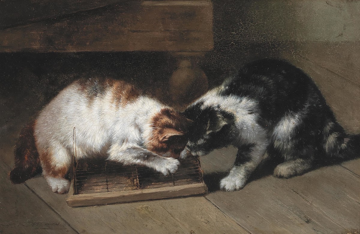 Two Cats with a Prey