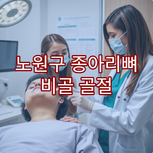 노원구 종아리뼈 비골 골절 진단 회복 병원 추천