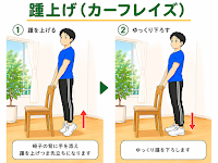 踵上げ（カーフレイズ）