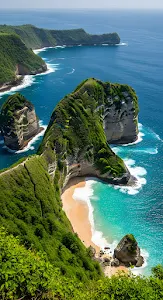Vibrant Tropical Palm Leaves Close-up