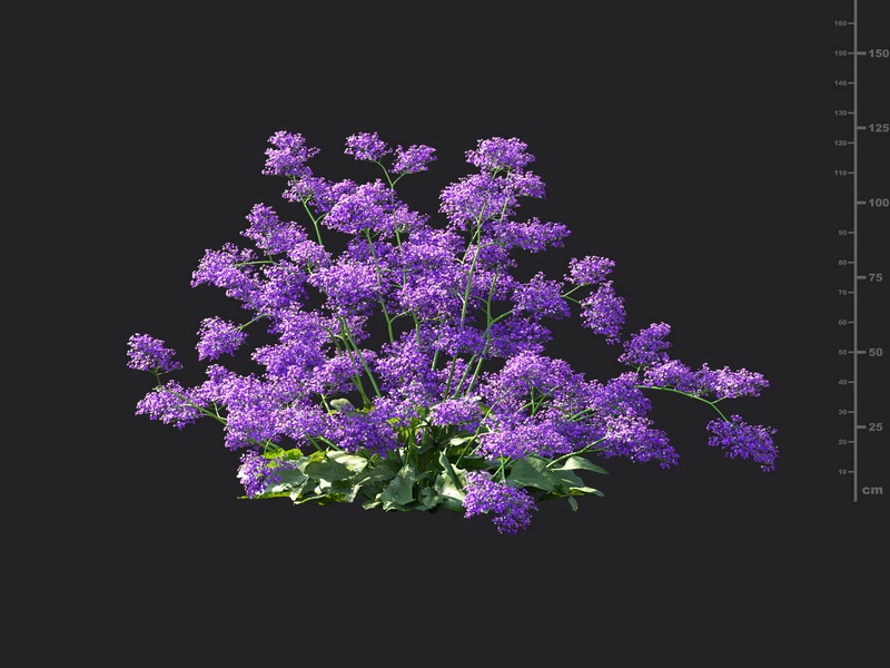 Maxtree - Plant Models Vol.115