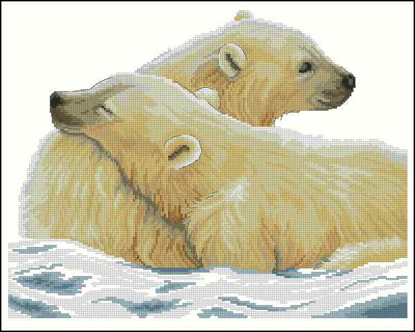 CMP 400168 Two Polar Bears