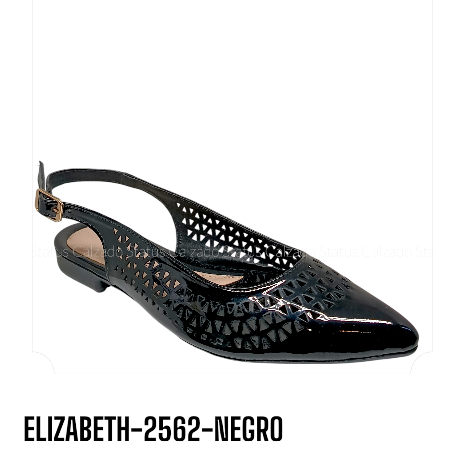 ELIZABETH-2562-NEGROCHAROL