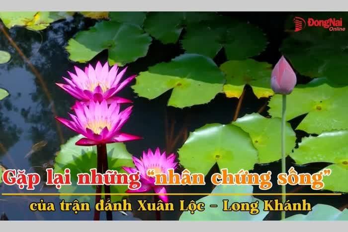 Gặp lại những 'nhân chứng sống' của trận đánh Xuân Lộc - Long Khánh - Báo Đồng Nai