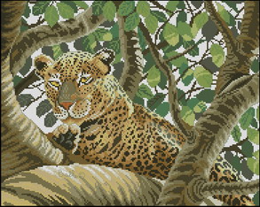 LAN38002 Serengeti Leopard