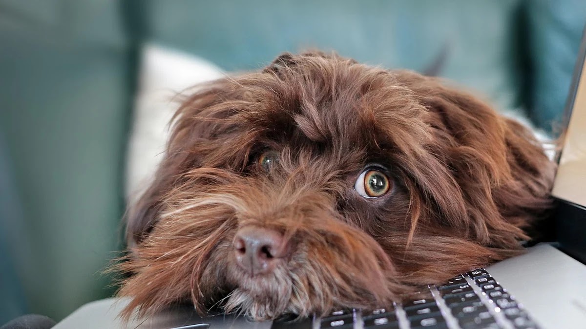 정보처리기사 시험 과목별 난이도와 합격 전략
