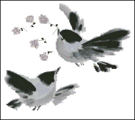 CMP 120021 Pattern