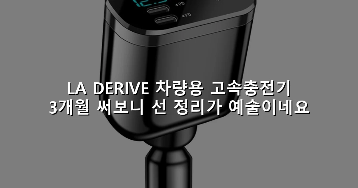 LA DERIVE 차량용 고속충전기 3개월 써보니 선 정리가 예술이네요